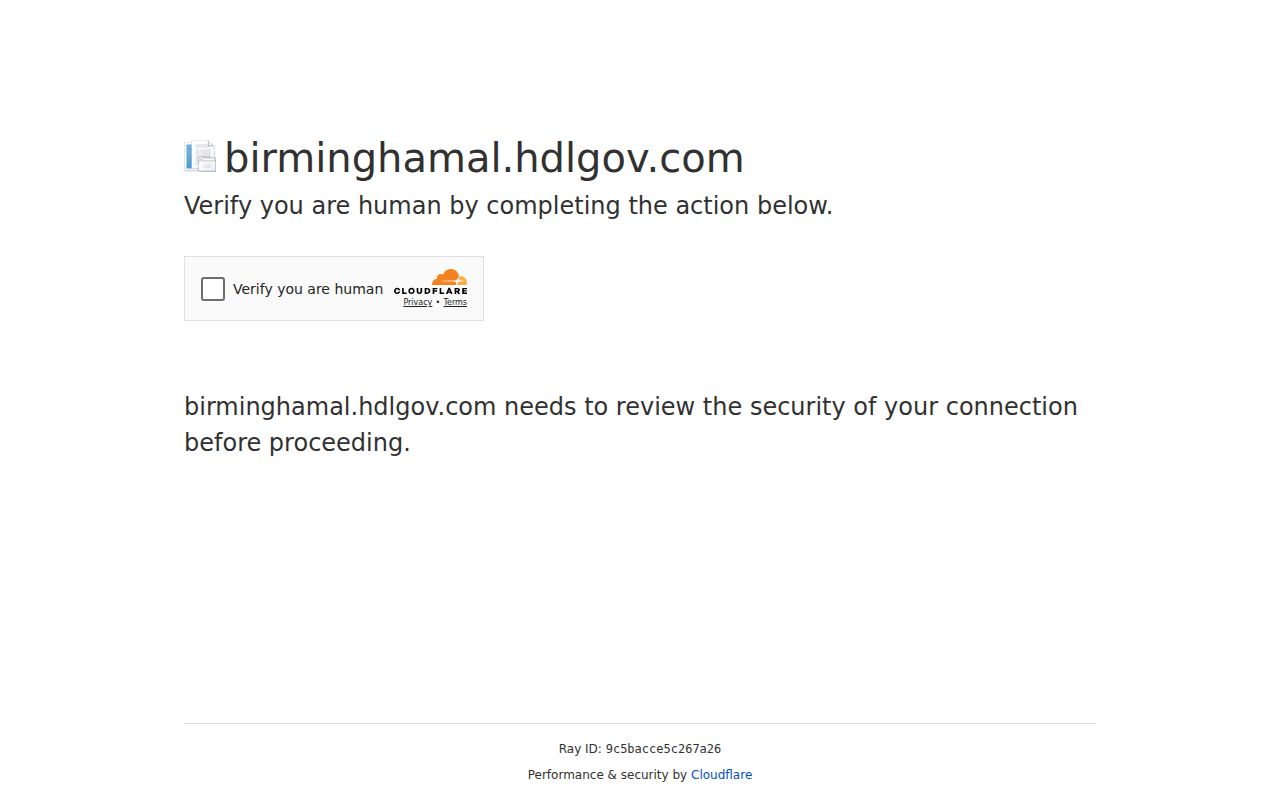 Birmingham business license search portal